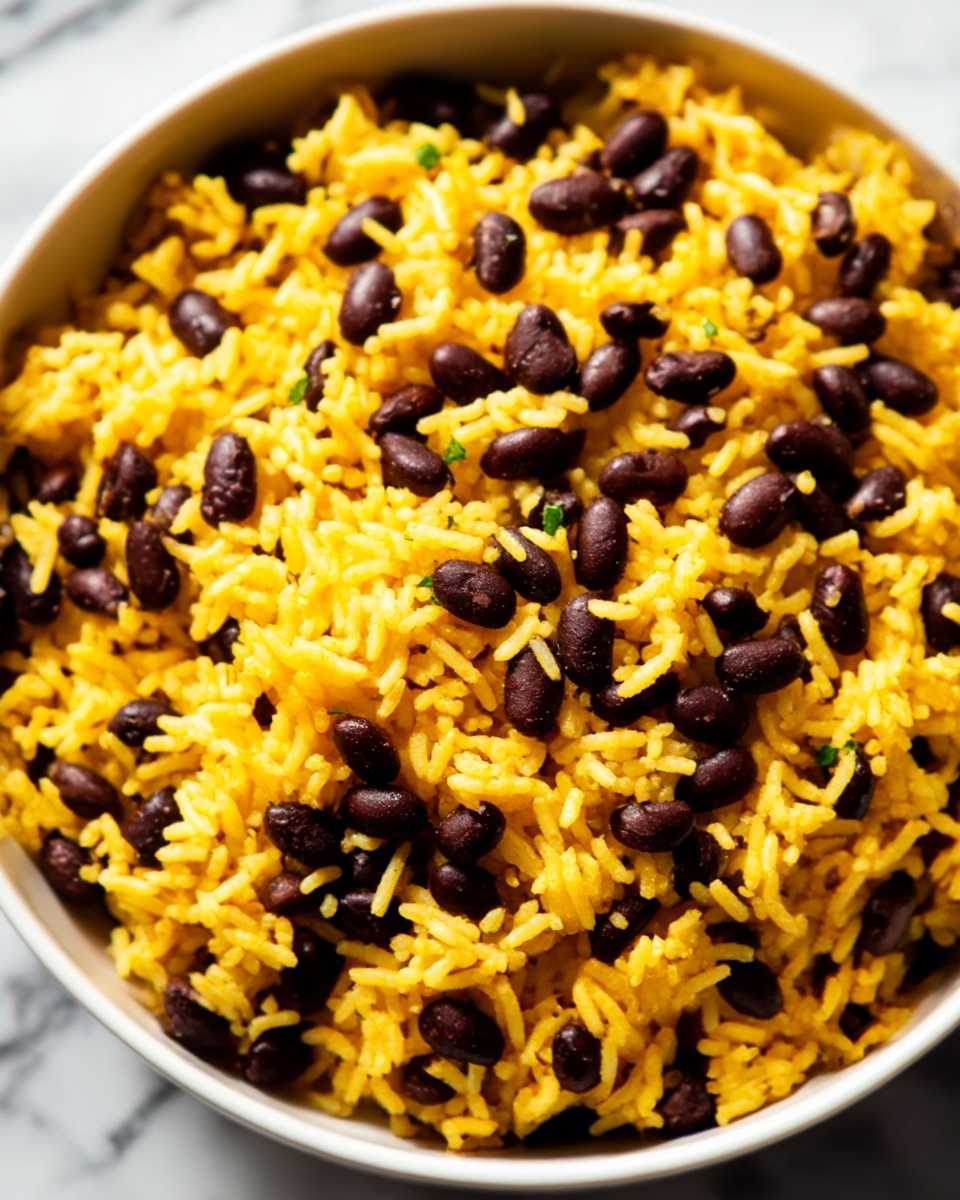 Black Beans and Rice Recipe - Recipe Image